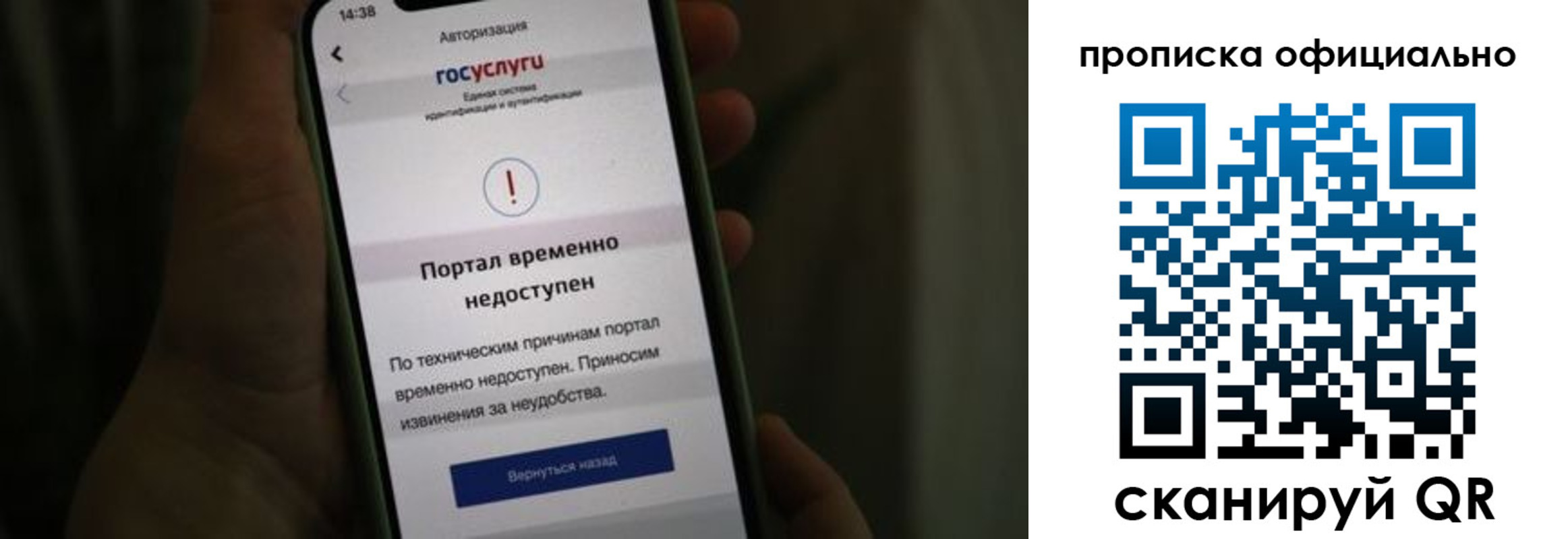найти адрес прописки в Светогорске